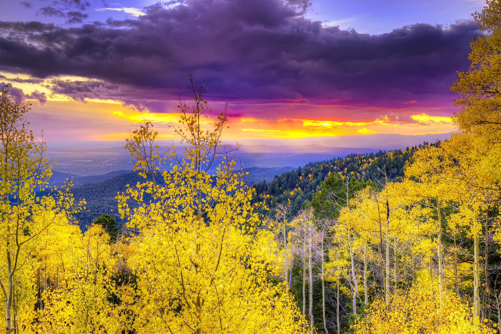 Gorgeous fall color is a must-see in Northern New Mexico.