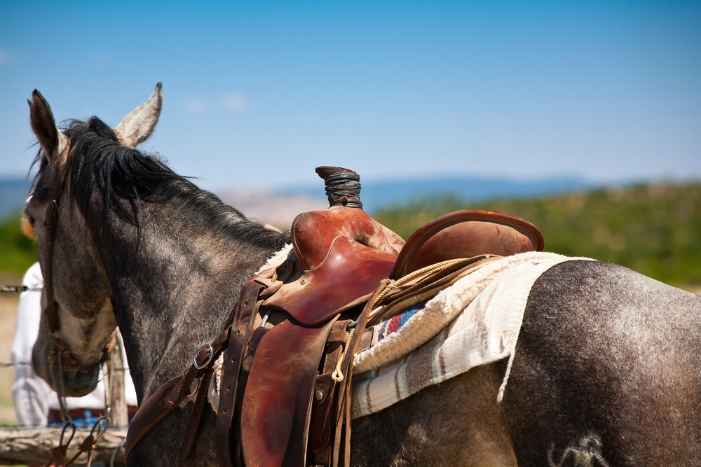 horseback riding near Santa Fe 