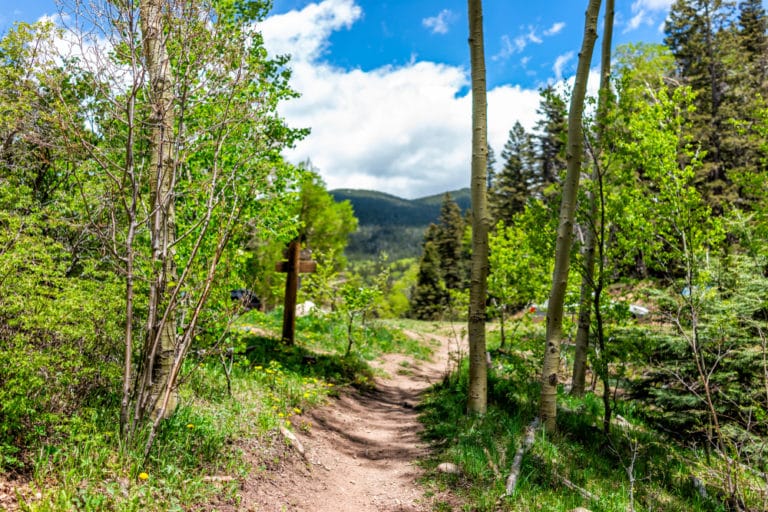 Take a hike at the Santa Fe National Forest, one of the best places for Santa Fe hiking