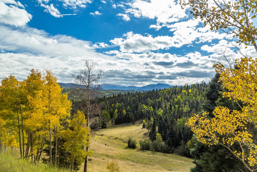 Stay at our New Mexico Bed and Breakfast and enjoy all of these amazing things to do in New Mexico this fall!