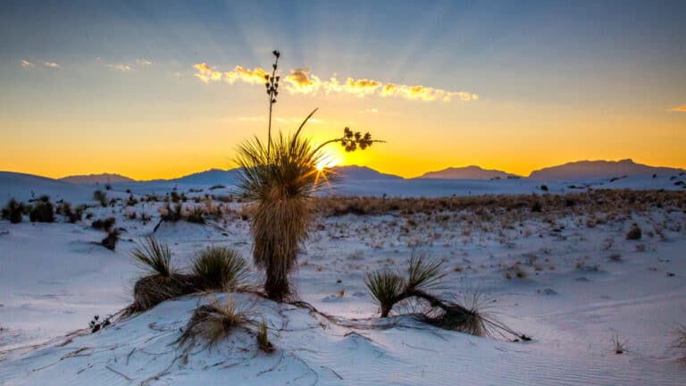 Enjoying the beautiful snowing landscapes is one of the best things to do in New Mexico in the winter