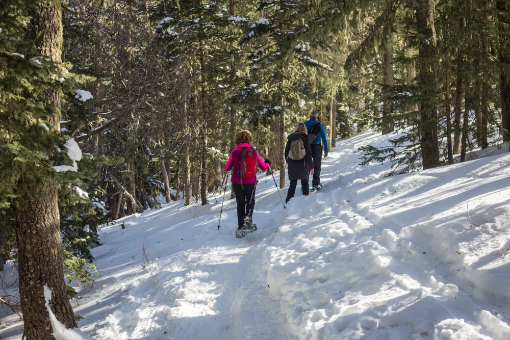People enjoying some of the best snowshoeing in New Mexico at Valles Caldera National Preserve
