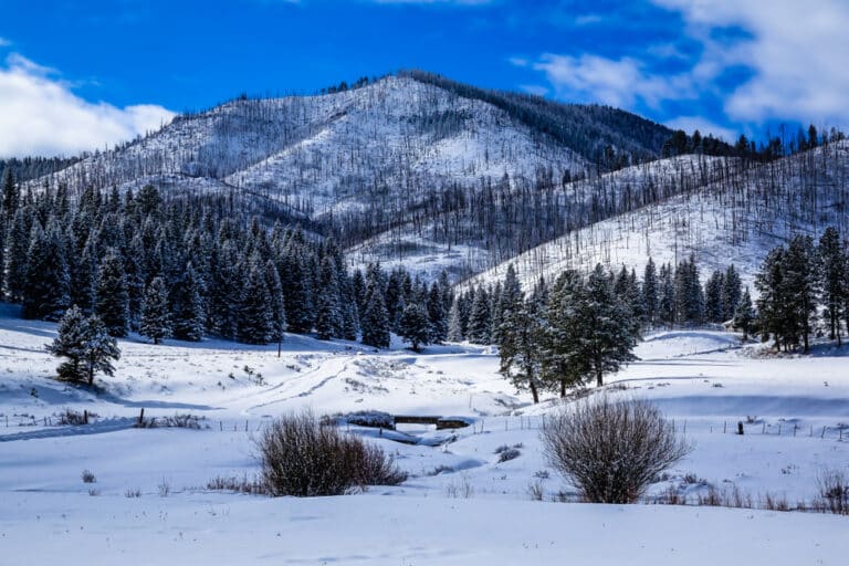 Gorgeous view of the Valles Calder National Preserve, a great place to go snowshoeing in New Mexico