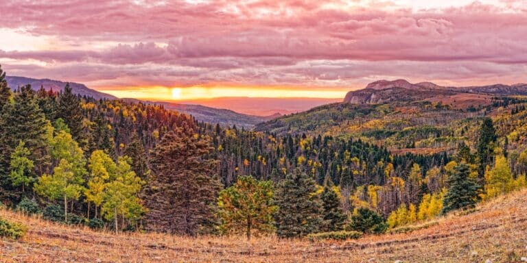 Fall sunset in New Mexico over fall trees - fall is one of the best times to visit New Mexico, and hiking or driving to great views like this is one of the best things to do in New Mexico