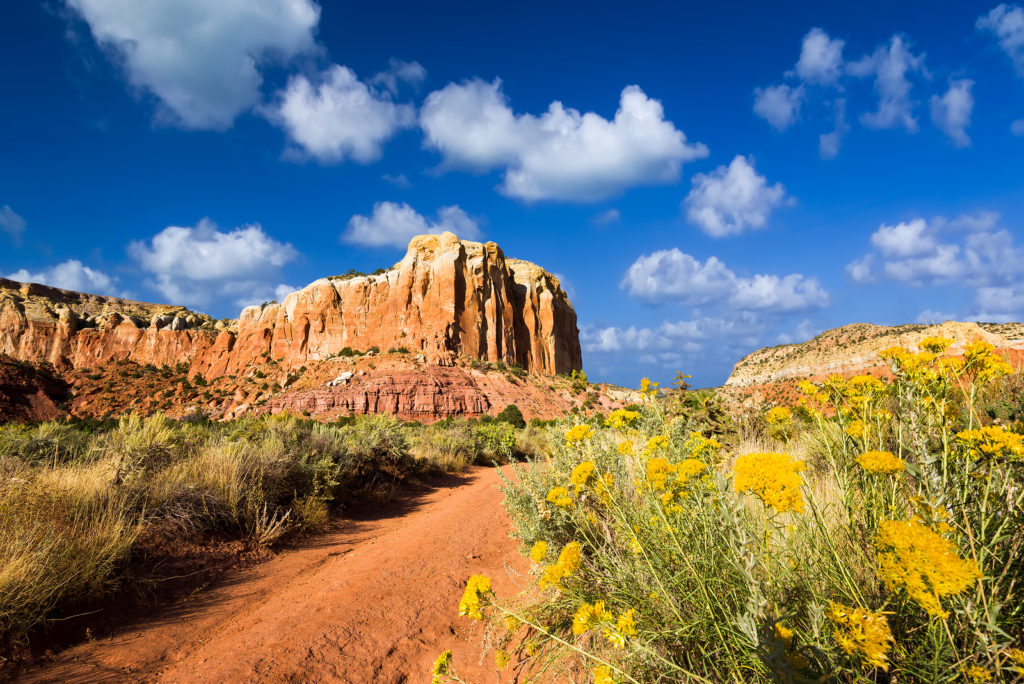 new mexico travel weather