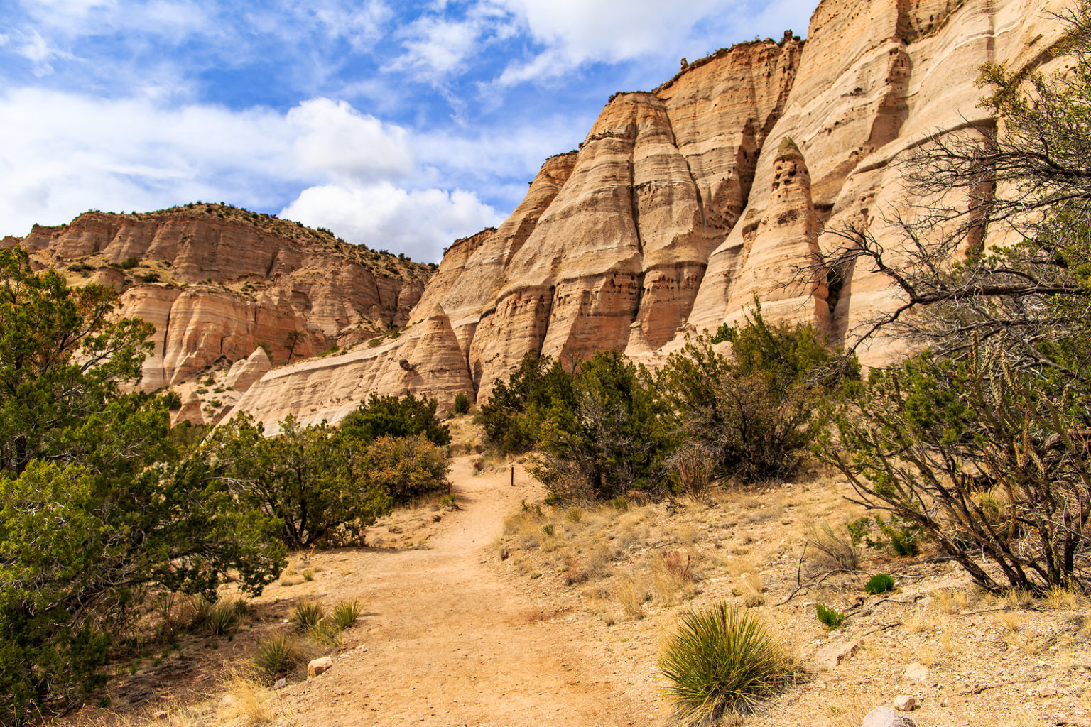 best mountain bike trails in new mexico